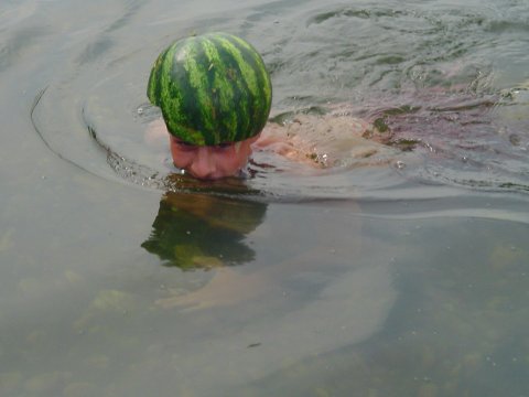 Bild 22