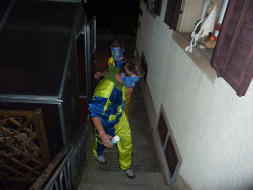 Bild 15