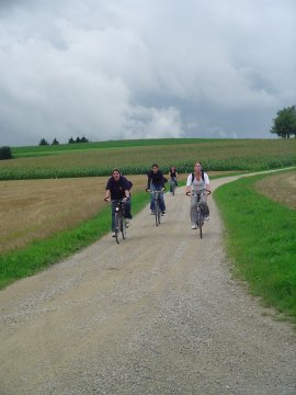 Bild 17