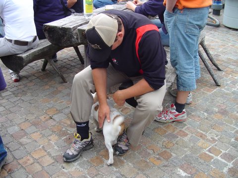 Bild 13